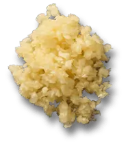 garlic